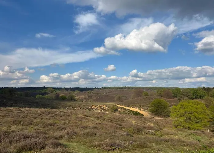 Houseboat In Lathumse Plas For A Couple Botel